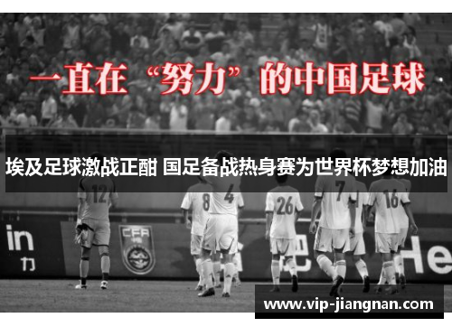 埃及足球激战正酣 国足备战热身赛为世界杯梦想加油
